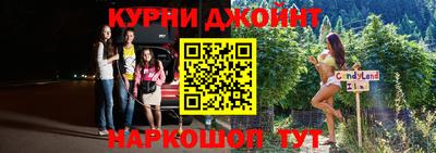 крисы Камышлов