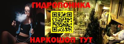 кокс Кандалакша