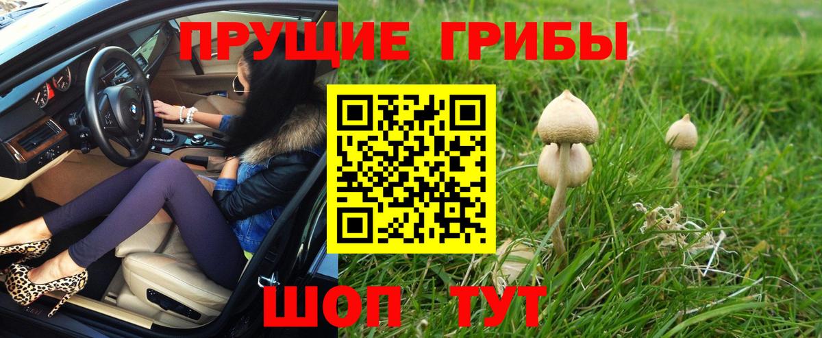 Канабис Дятьково