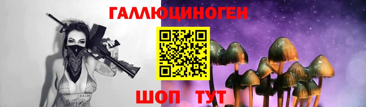 Дятьково  Галлюциногенные грибы мицелий  цена   Вход с VPN  Галлюциногенные грибы прущие грибы 